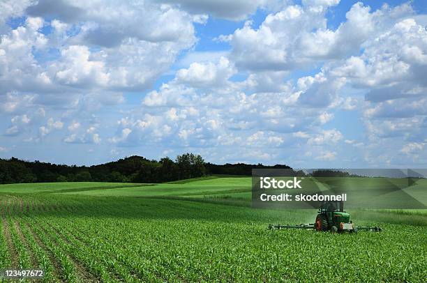 Farming A Corn Field Stock Photo - Download Image Now - Agricultural Field, Tractor, Corn - Crop