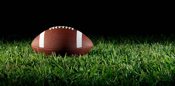 istock Football on Grass 123498820