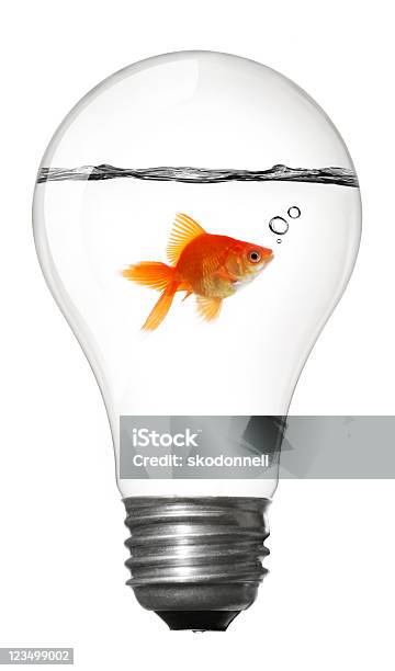 Goldfish Inside A Lightbulb Stock Photo - Download Image Now - Humor, Animal, Light Bulb