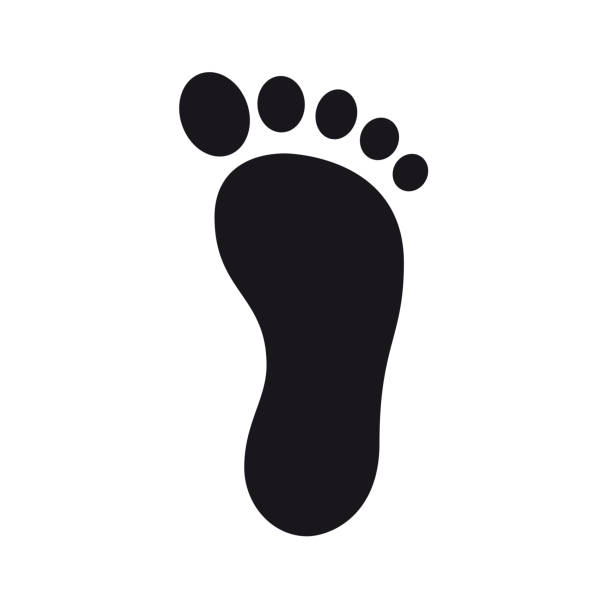 Foot prints icon flat simple illustration Foot prints icon flat simple illustration carbon footprint stock illustrations