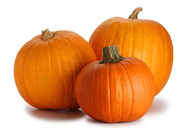 Photo of Three Pumpkins Isolated on White