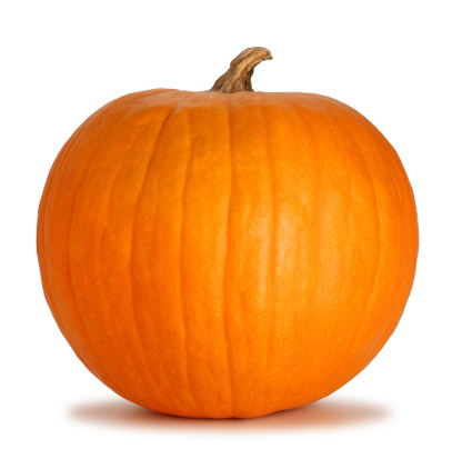 Two large orange pumpkins with shadow on white background