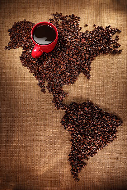 istock Red Coffee Cup Sitting in a Map of Beans 123501586