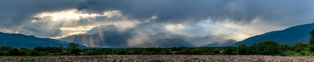 Gigapan of the Thracian rose valley in Bulgaria Mega panorama of the Rose valley in Bulgaria with sunbeams lighting the mountain range in the background rose valley stock pictures, royalty-free photos & images