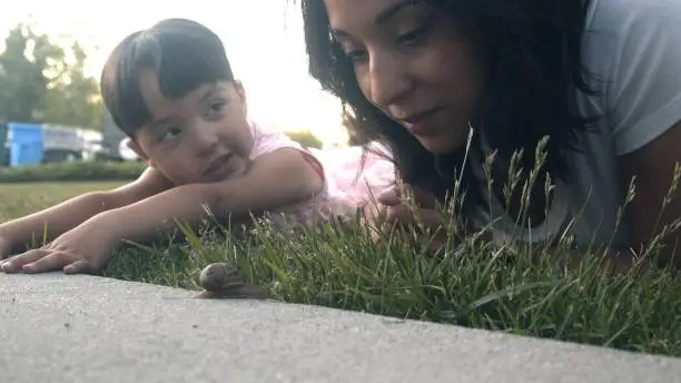 Photo of Four Year Old Girl and Young Mother Observing a Garden Snail on Their Front Driveway in a Middle Class Neighborhood