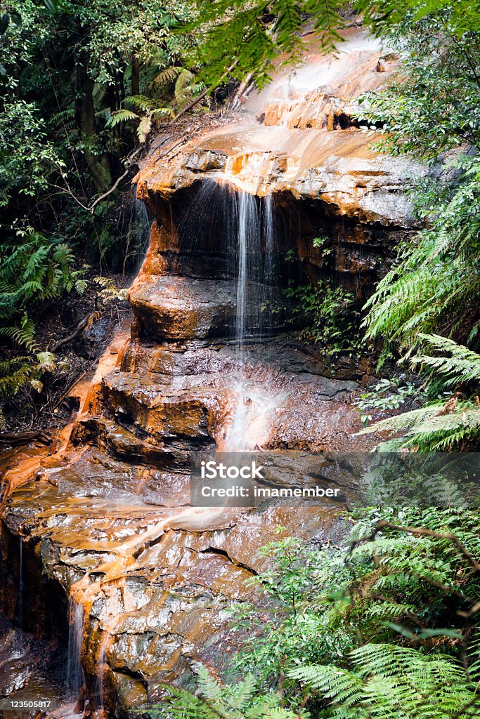 Wodospad "Witches leap" z rock formation of Ludzka twarz - Zbiór zdjęć royalty-free (Australia)