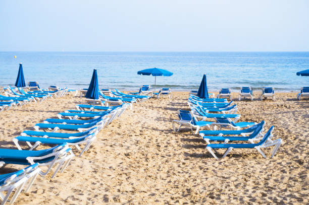istock Deckchairs on the beach sand at sunset. No people 1235059549