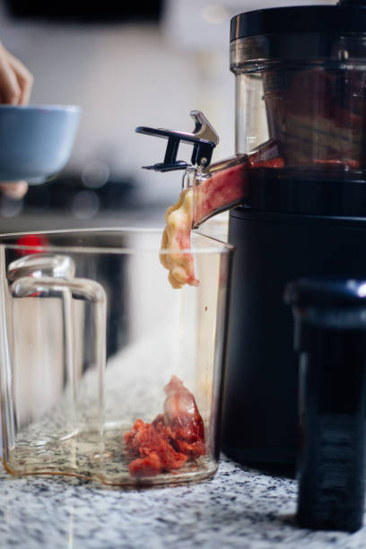 istock Homemade Sorbet with Slow juicer 1235065244