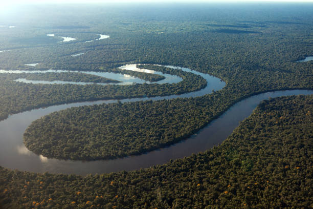 열대우림과 아마조나스 강의 조감도 - 아마존 지역 뉴스 사진 이미지