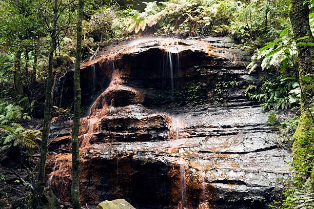 cascata "withes passo" con formazione rocciosa del viso - mago national park foto e immagini stock