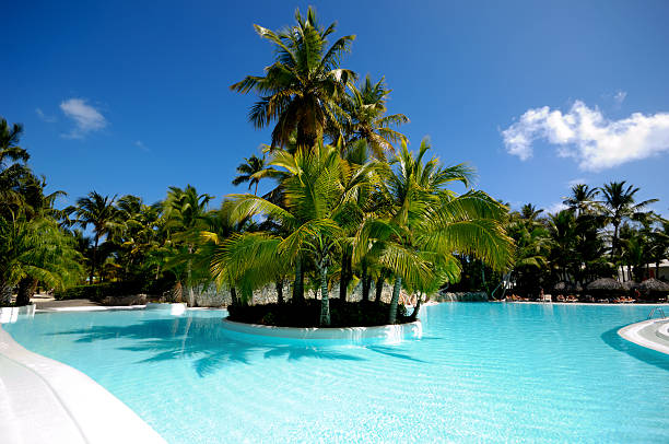 La piscina - foto de stock