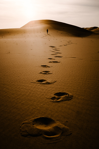 Footprints in the desert