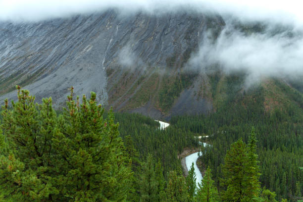 istock Mistaya Canyon, Alberta, Canada 1235107396