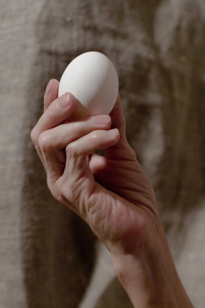 istock Senile hand holds a white chicken egg. 1235119293