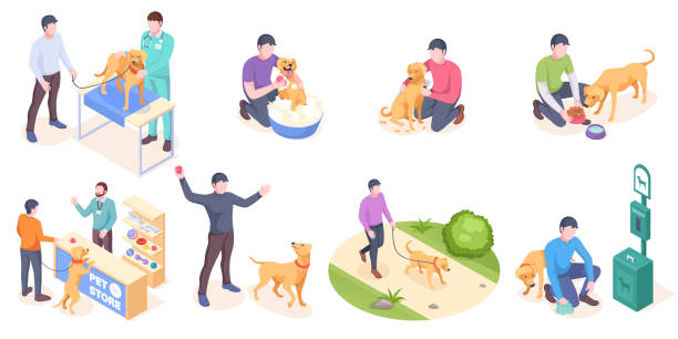 illustrazioni stock, clip art, cartoni animati e icone di tendenza di cura del cane domestico, vita quotidiana del proprietario, icone isometriche isolate vettoriali. attività quotidiana di cane e proprietario, controllo veterinario, passeggiate nel parco e raccolta della cacca per animali domestici, allenamento con palla g - animals feeding illustrations