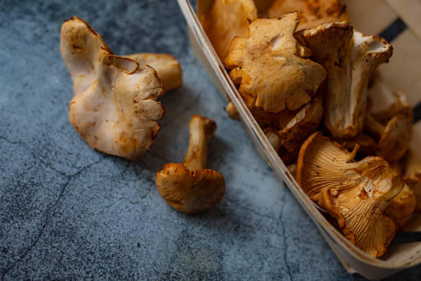 istock Raw uncooked Chanterelles forest mushrooms on kitchen table 1235160813