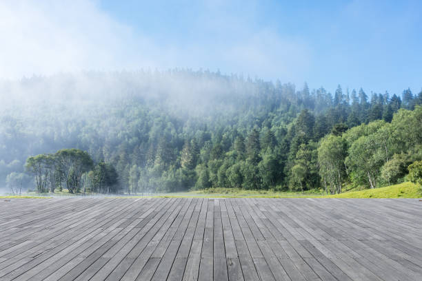 istock forest background with wooden floor 1235173249