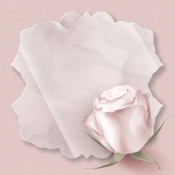 Vector illustration of Retro greeting card with pink rose. EPS 10