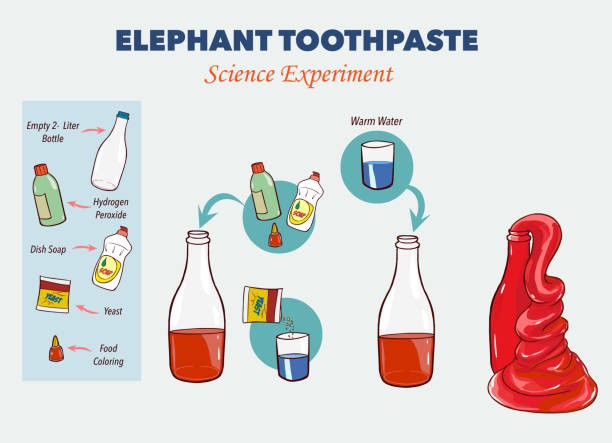 코끼리 치약 실험의 벡터 일러스트레이션 - toothpaste stock illustrations