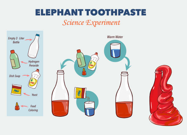 Vector illustration of Elephant's toothpaste experiment Vector illustration of Elephant's toothpaste experiment food coloring stock illustrations