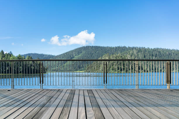 istock lake scene at park 1235262524