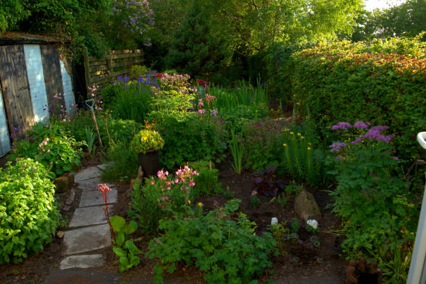 istock Scottish country garden in late Spring. 1235350149