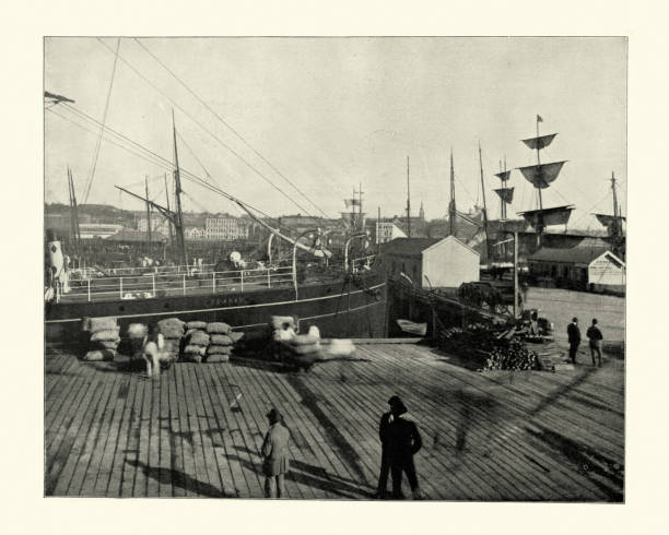 Ships in harbour of Auckland, New Zealand, 19th Century Vintage photograph of Ships in harbour of Auckland, New Zealand, 19th Century old port photos stock pictures, royalty-free photos & images