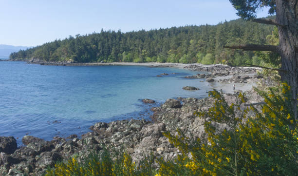 istock East Sooke Park, British Columbia 1235420838