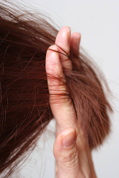 istock Bad hair day 123542295