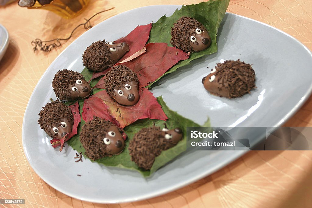 Schokolade hedgehogs - Lizenzfrei Schokolade Stock-Foto