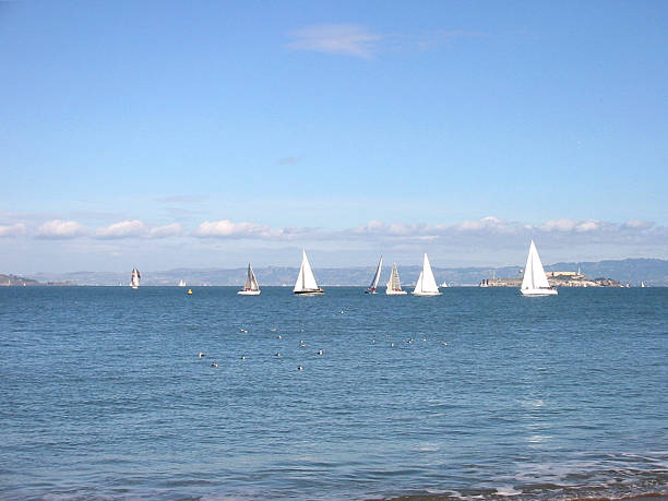 istock Group of Sail Boats 123543887