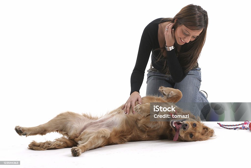 Melhor amigo - Foto de stock de Cão royalty-free