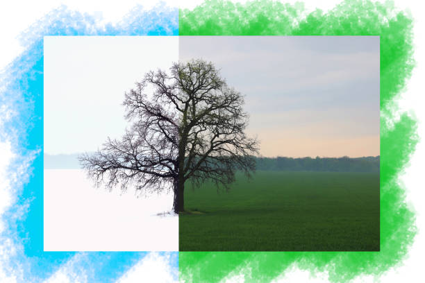 In the field between Frankfort and Eschborn, Eschborn, Hessen, Germany.