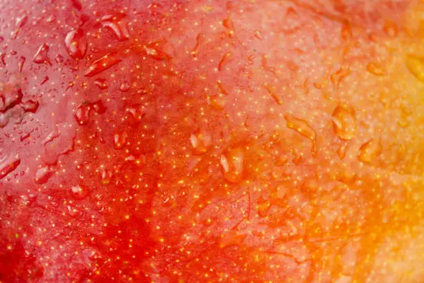 Photo of Mango fruit skin textured background