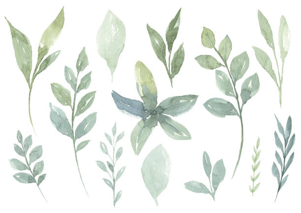 satz von aquarell blume und grüne blätter - green watercolor painting leaf watercolour paints stock-grafiken, -clipart, -cartoons und -symbole