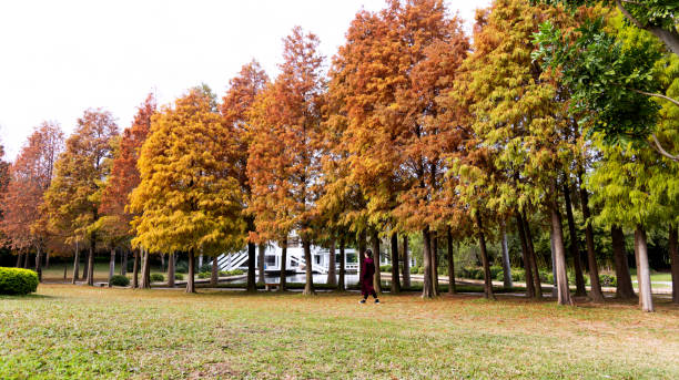 Woman walking in autumn park.