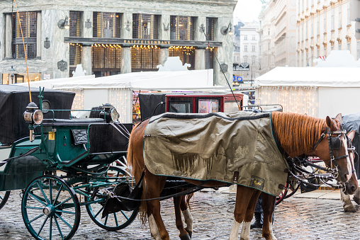 Horse-Drawn Carriage for touristic attraction in the old town of Vienna, Austria at a rainy day.