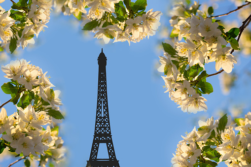 Paris, France. October 04. 2020. View on the Eiffel tower, A place popular with tourists from all over the world. Iron architecture dating back to the 19th century.