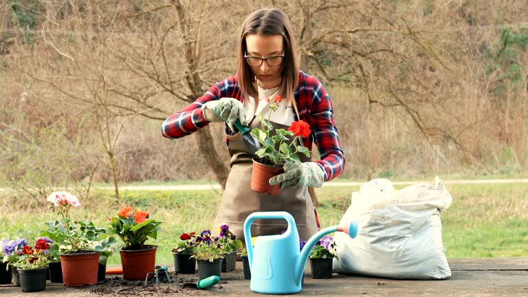 Gardening activities