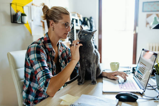 istock Woman developing new business at home and cuddling her cat 1235597599