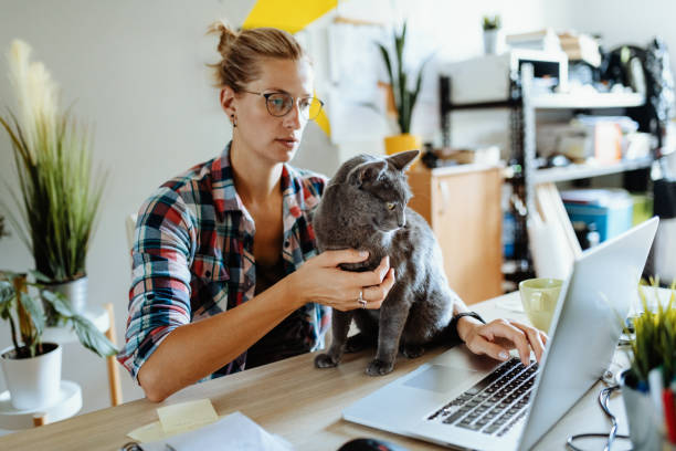 istock Woman working at home and cuddling her cat 1235600540