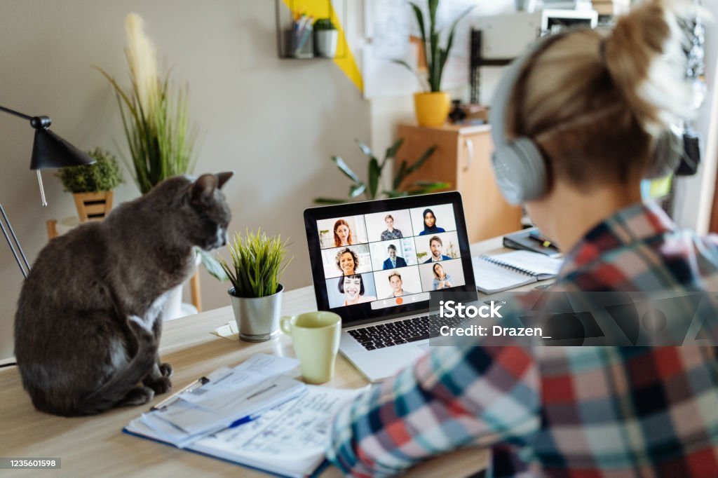 New reality - working from home with pets and kids Portrait of modern woman at home teleconferencing with colleagues while cuddling her cat Working At Home Stock Photo