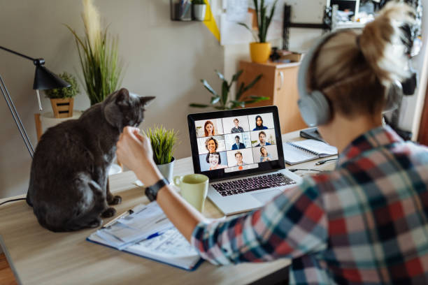 istock Woman with cat working from home 1235602632