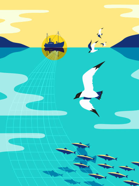 ilustrações de stock, clip art, desenhos animados e ícones de nautical vintage flat color vector poster - rede de arrastão