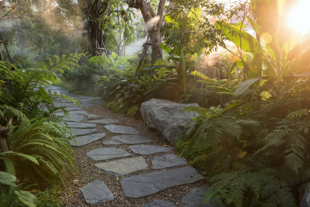 istock garden with fake mist at sunset 1235663728