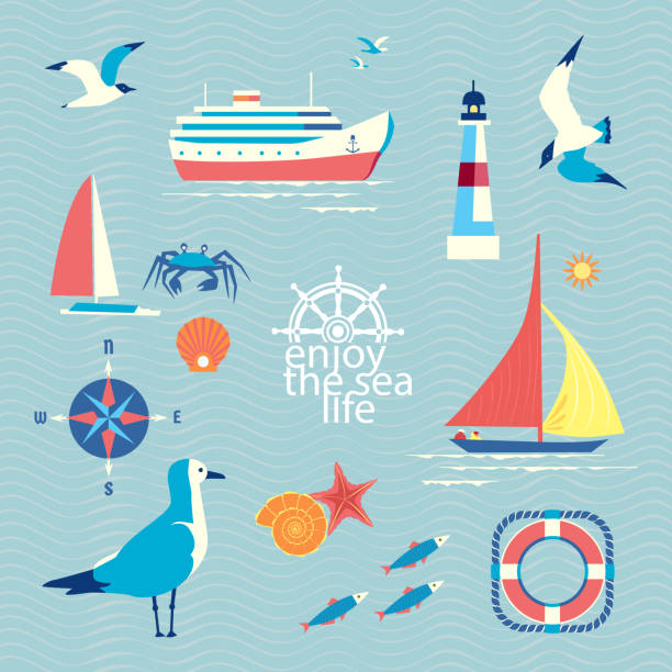 illustrazioni stock, clip art, cartoni animati e icone di tendenza di collezione icone vettoriali vintage nautiche - sea life centre