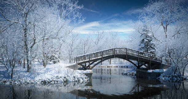 Bridge over a frozen river in the park in winter