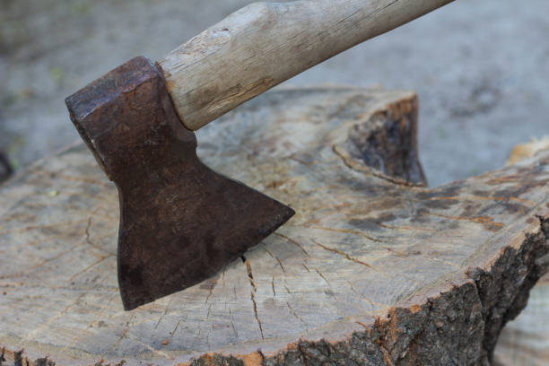 istock Axe in the stump, woodworking tools, chopping wood 1235685168