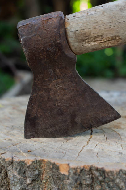 istock Axe in the stump, woodworking tools, chopping wood 1235685697