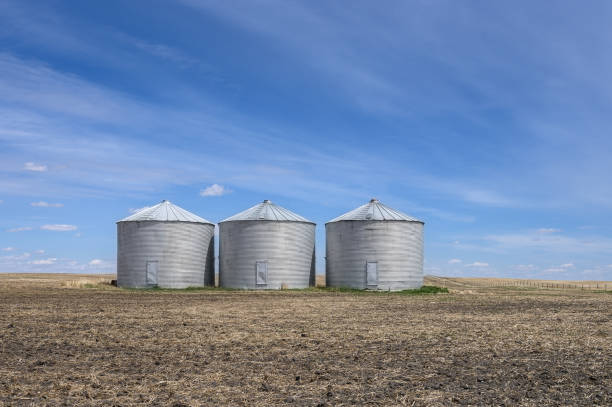 istock Grain Bins near Airdrie, Alberta, Canada 1235697402